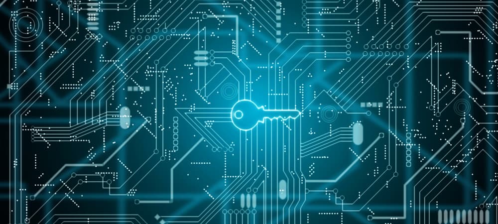 PACE anti-piracy raises the bar in white-box encryption protection