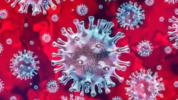 China’s December production shrank significantly while COVID rose