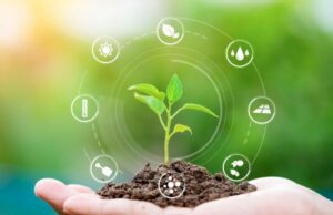 Business for grain growers in eastern Europe: a difficult stance